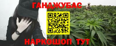 гашик Майкоп