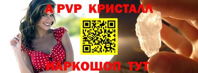 гашик Майкоп